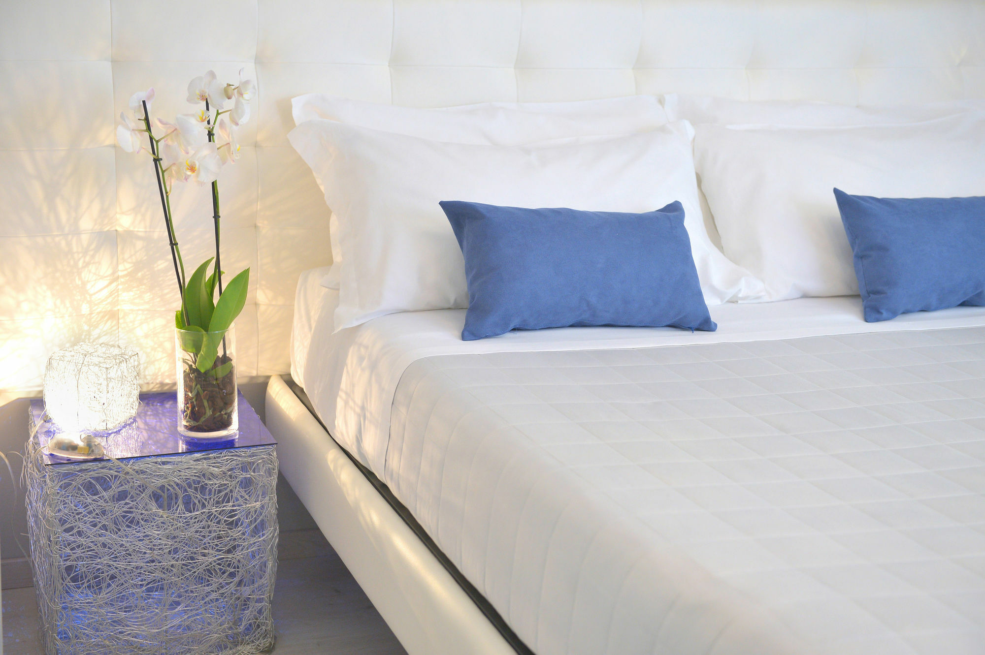 B-Cool (Adults Only) Bed & Breakfast Roma Dış mekan fotoğraf