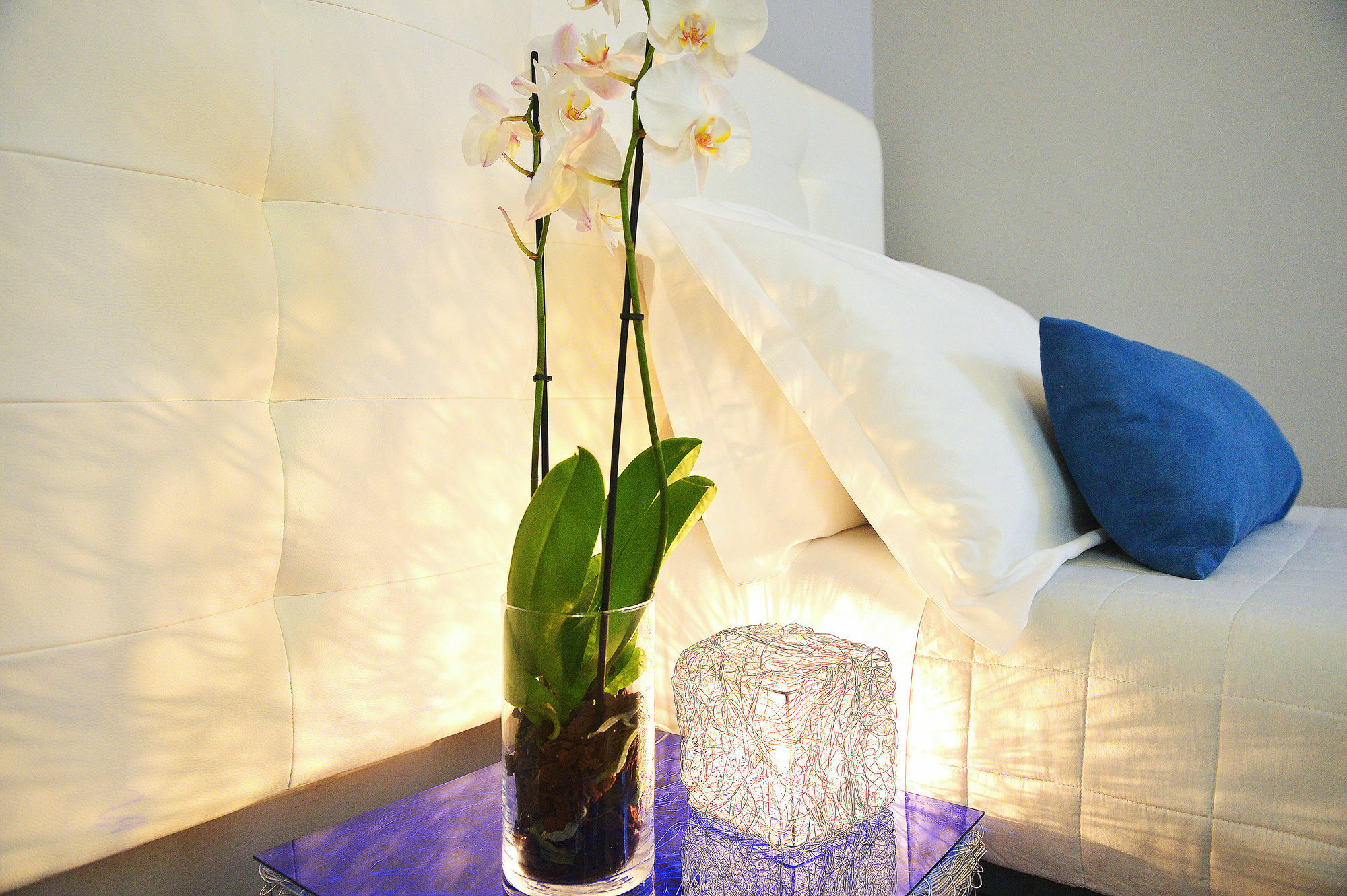 B-Cool (Adults Only) Bed & Breakfast Roma Dış mekan fotoğraf